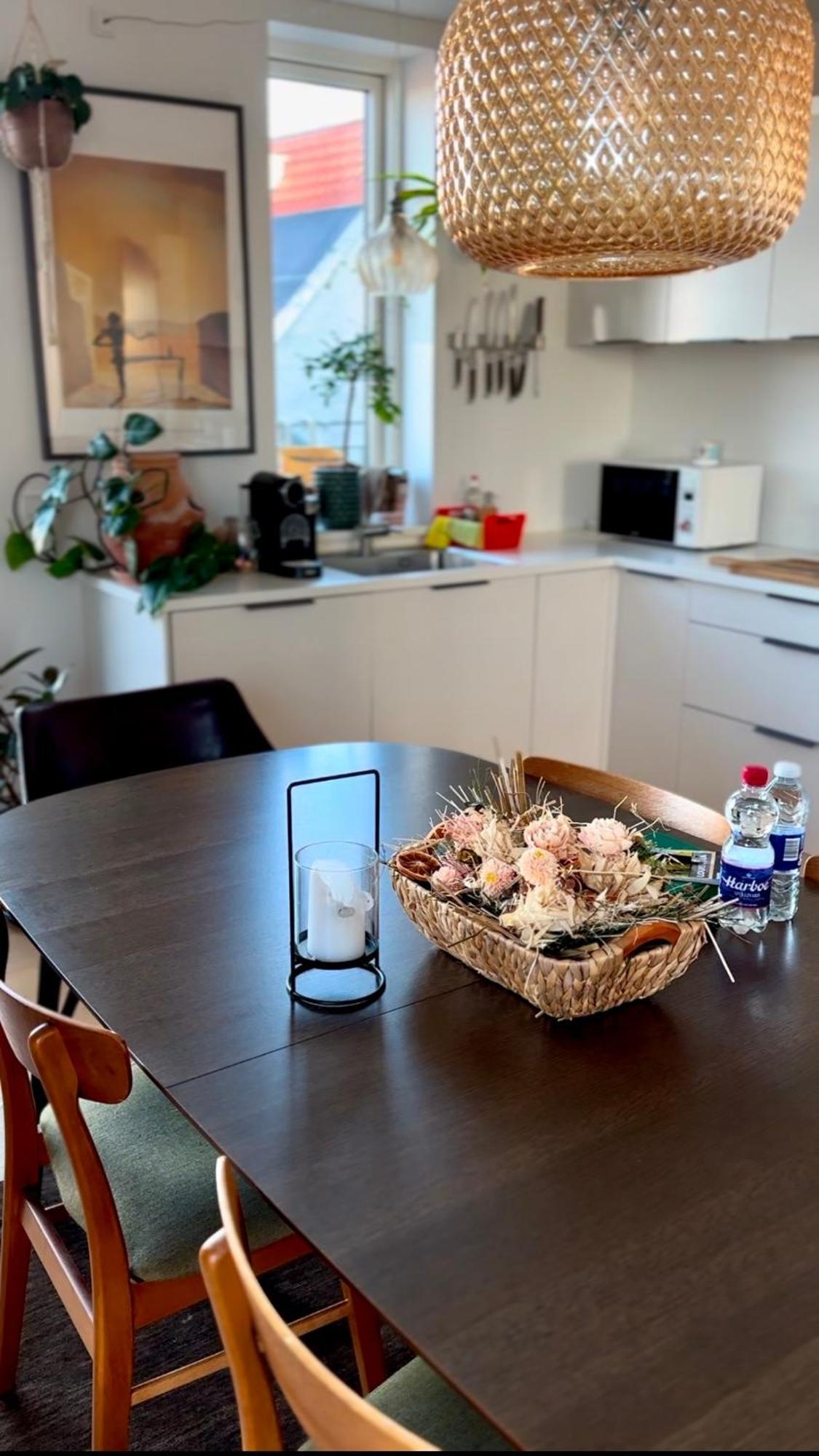 Penthouse: Delight * Copenhague